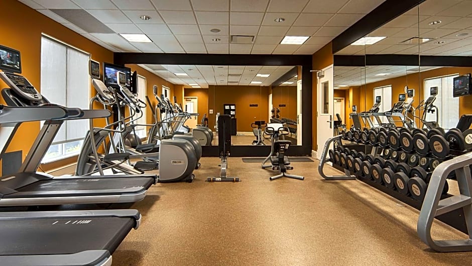 Hilton Garden Inn Houston/Galleria Area