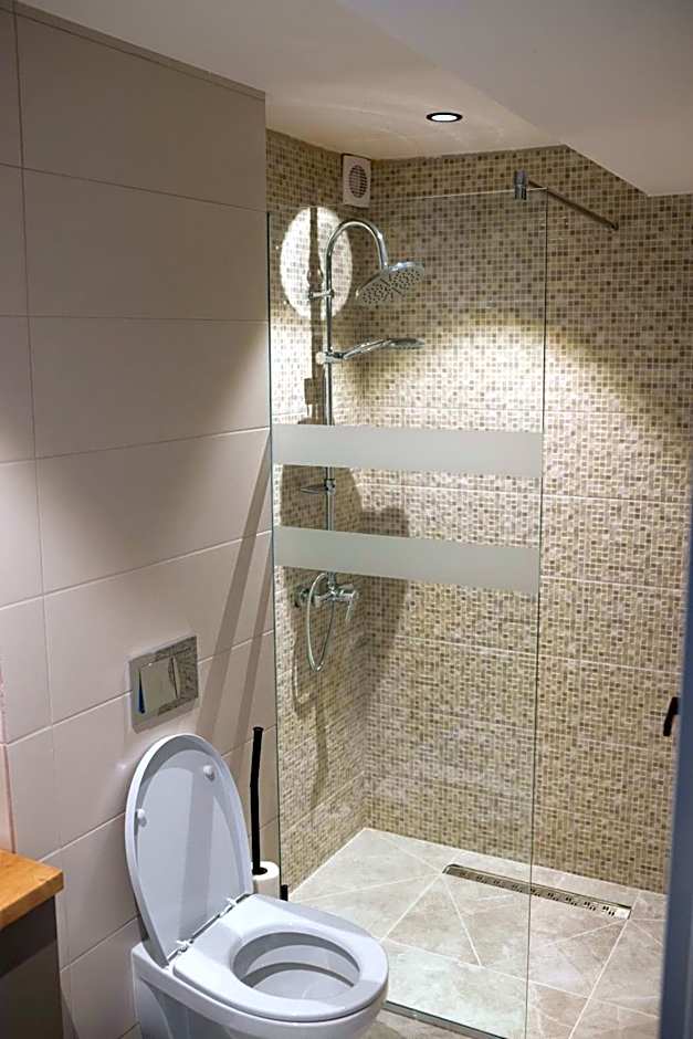 Hotel Plutitor Lebăda