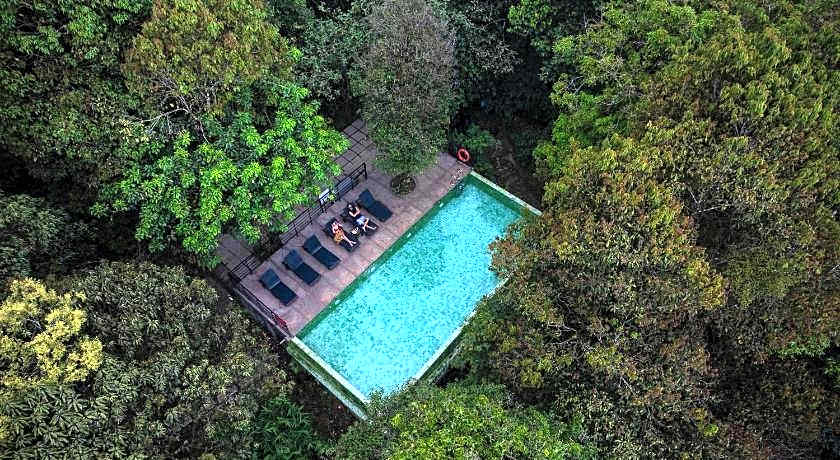 Wayanad Wild  Rainforest Lodge by CGH Earth