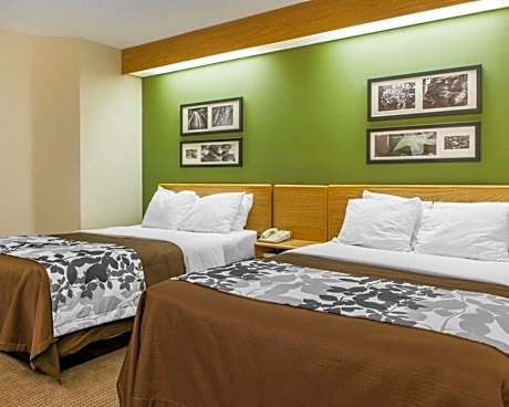 Double Room with Two Double Beds - Non-Smoking