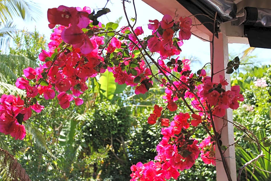 Peace and Plenty Inn