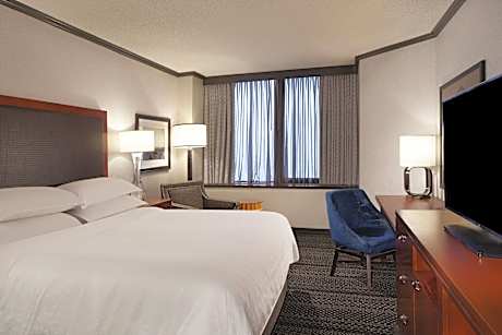 PURE Allergy-Friendly, Guest room, 1 King