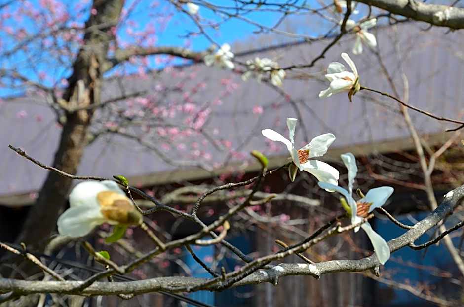 ARtINn 極寒藝術伝染装置