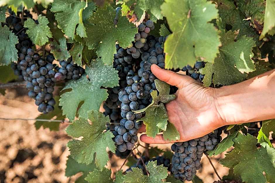 CSA Hotel Beach & Park