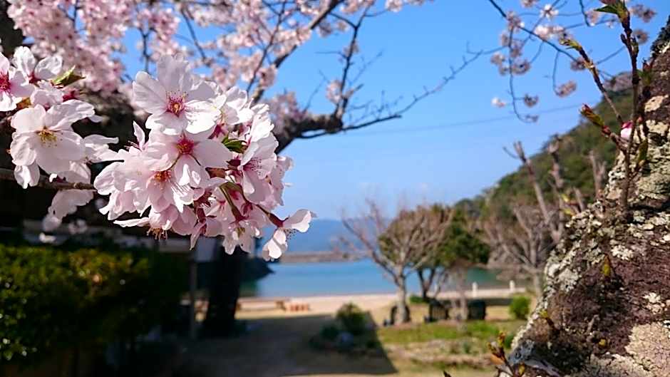 Pension Shishikui