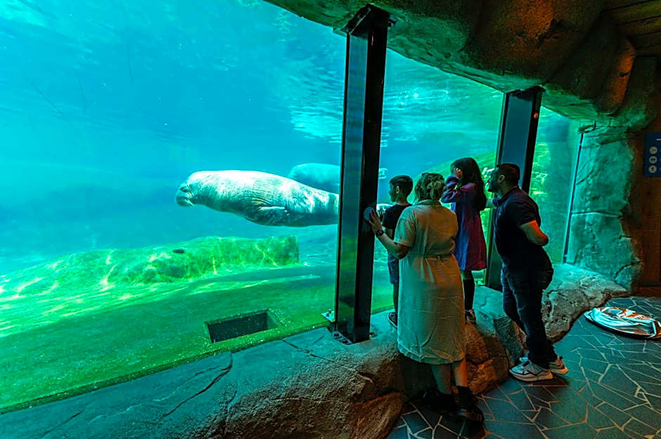 EuroParcs Veluwemeer