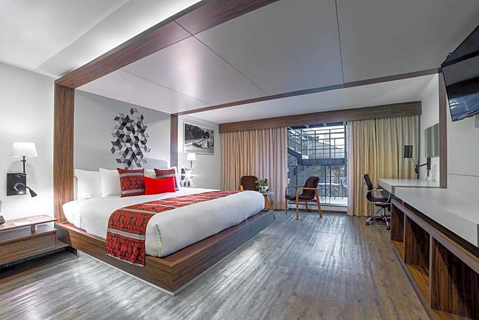Flow Condesa - Adults Only