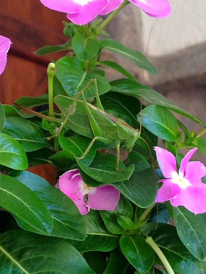 A Casa di Gianni e Mari