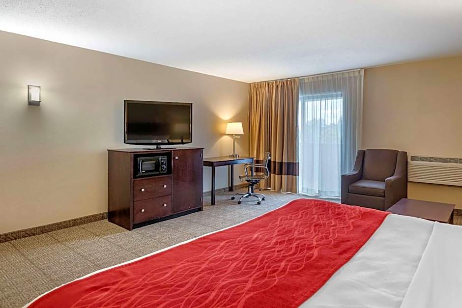 Comfort Inn Lansing West