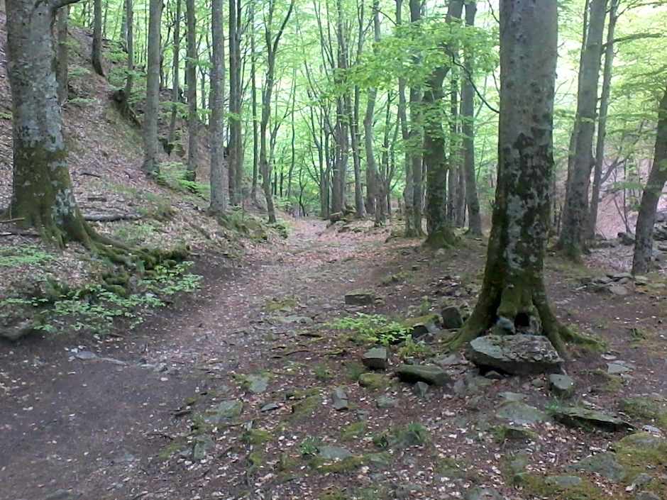 Hotel Miravalle 2000