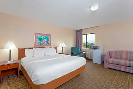 1 King Bed Deluxe Suite