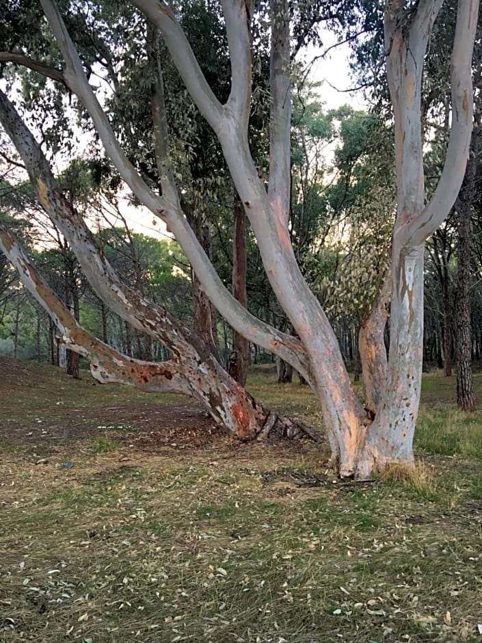 Camera vista mare, ingresso indipendente in" Villa VìVì"