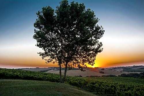 La Vita Nuova Appartements - Appart B&B