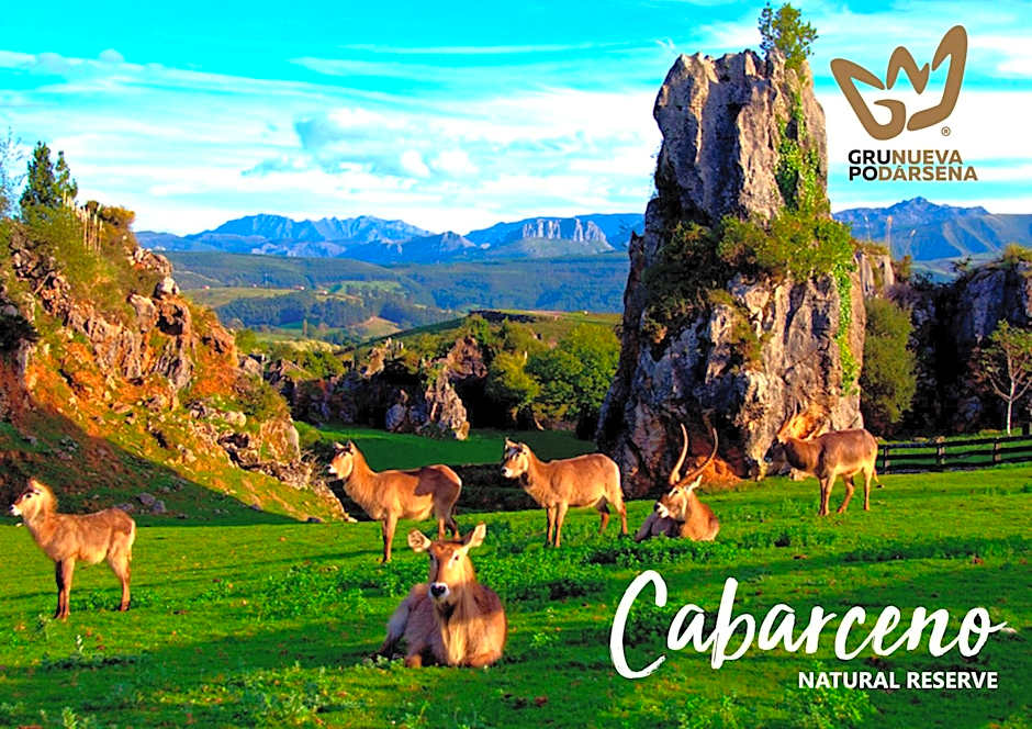 Hotel Mar Azul & Surf