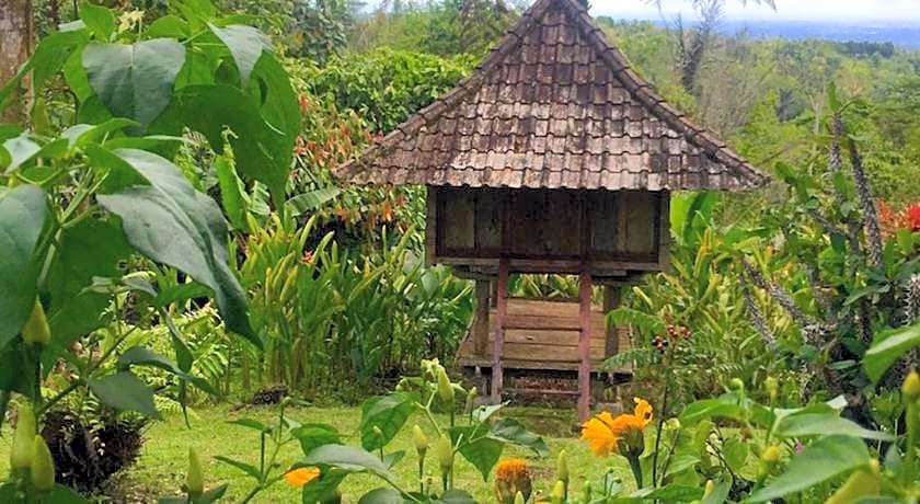 Bali Mountain Retreat