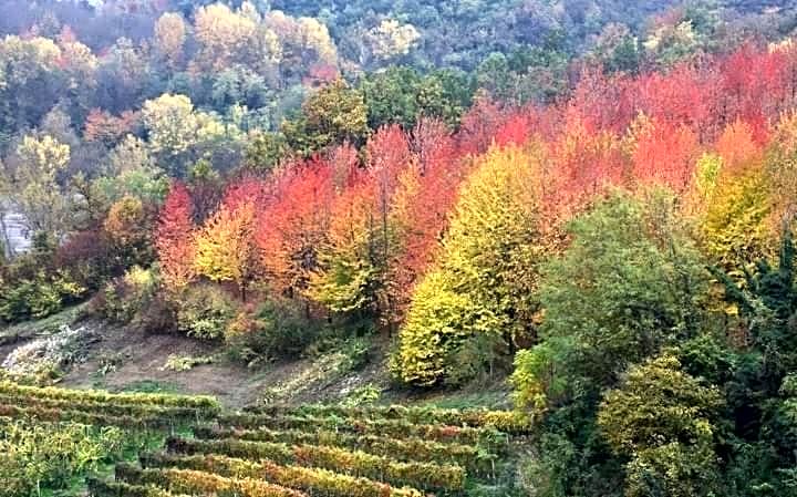 La Tana dello Scoiattolo - Adults Only