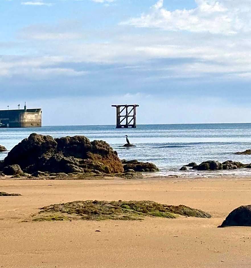 Olas y flores silvestres 2