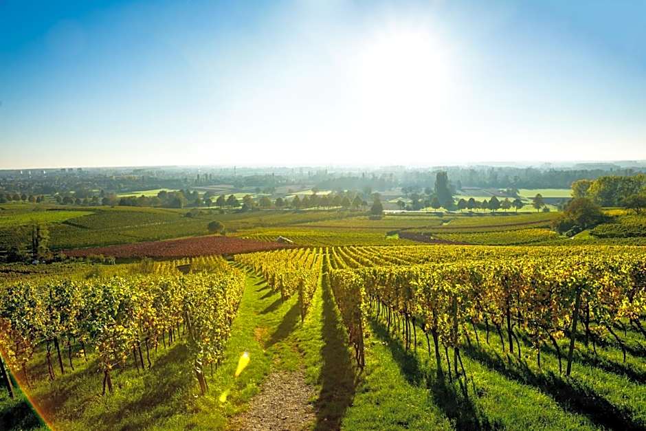 Clos Ceres