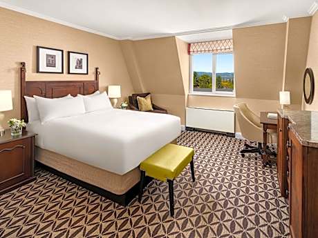 Room queen size bed