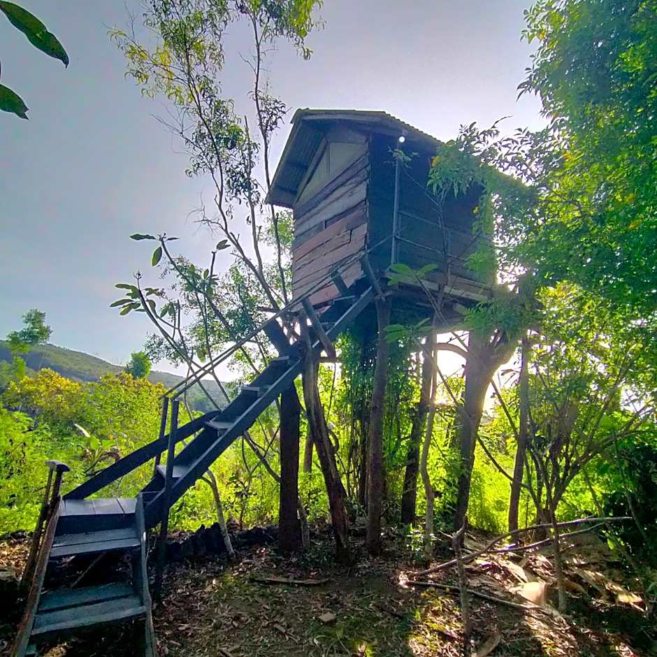 Rumah Pohon