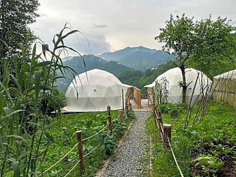 LIMKHONA DOME - CHALET