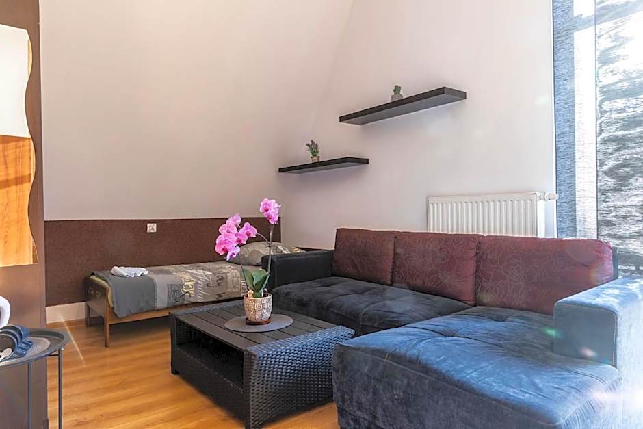 Brzoza w centrum Zakopanego