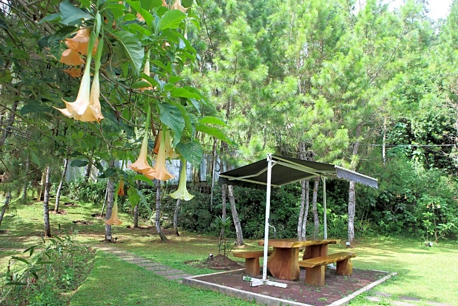 Kastuba Resort