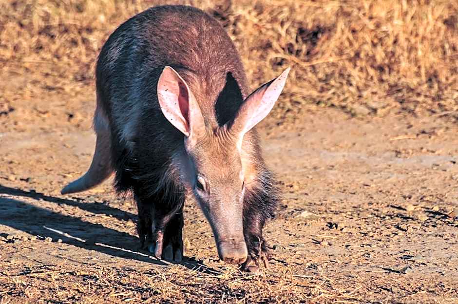Kwandwe Private Game Reserve - Fort House