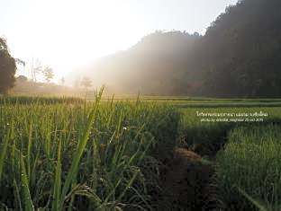 Kowit Maechaem Farmstay