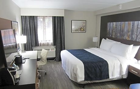 1 KING BED,NSMK,WALKSH,MICRFG,FULL BREAKFAST