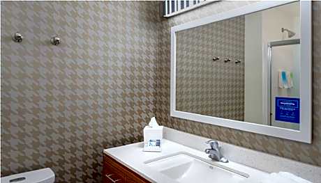 1King Hearing Accessible Studio Suite Nosmok