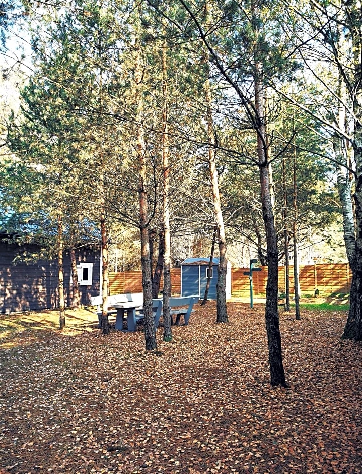 Domki Między Drzewami