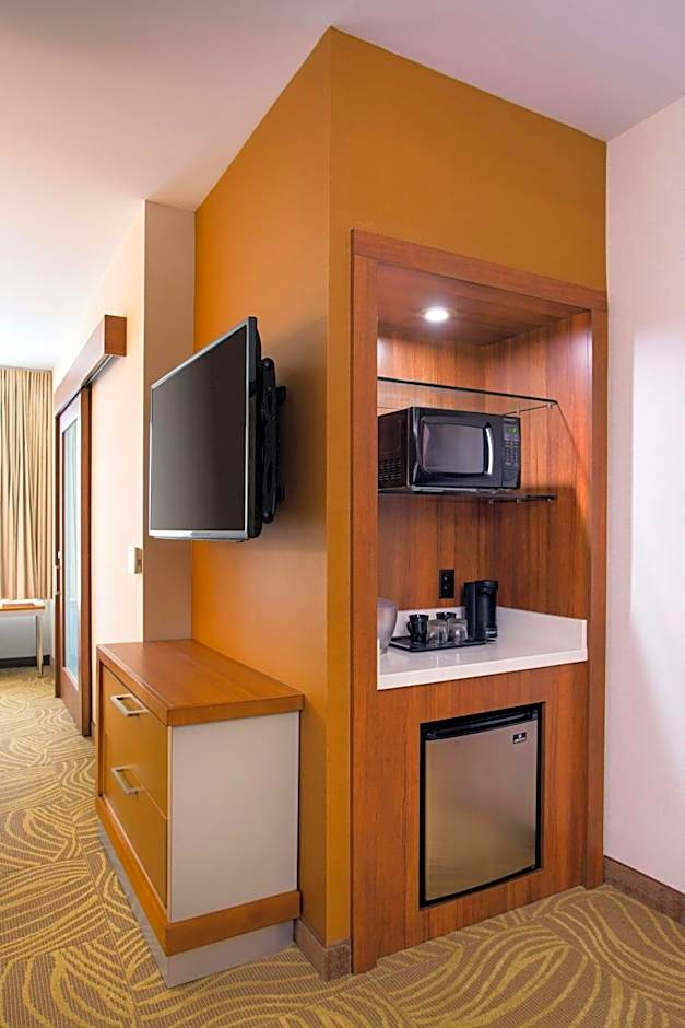 SpringHill Suites by Marriott Los Angeles Burbank/Downtown