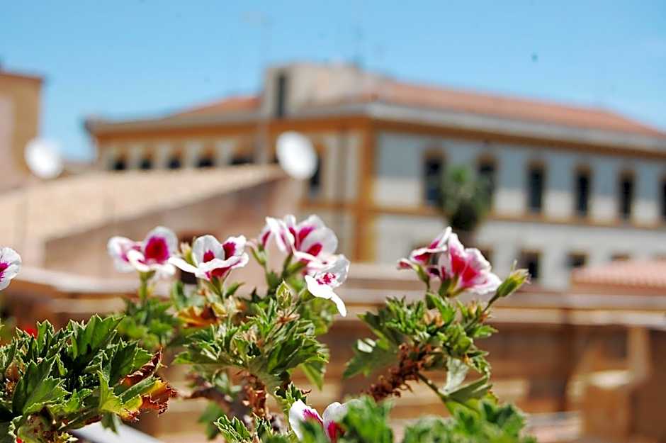 PortAtenea - Atenea Collection