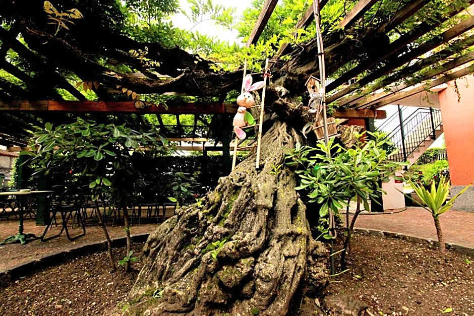 Apartment Lake Maggiore - ITALIA