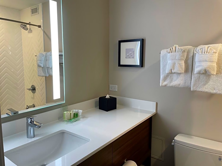 Holiday Inn Hotel & Suites Chicago - Downtown by IHG
