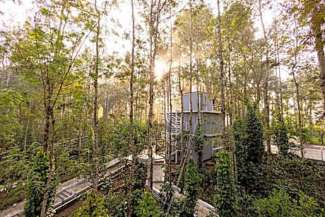 Sarvakaya Timber Trails