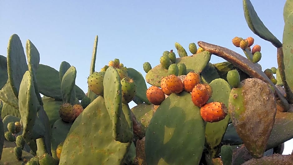 casa di campagna dal pozzo