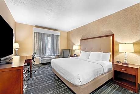 King Room - Non-Smoking