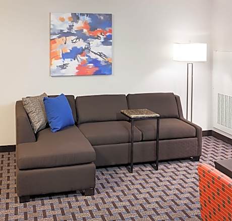 Suite, 1 King Bed with Sofa bed (1 King Bed and 1 Double Sofa Bed)