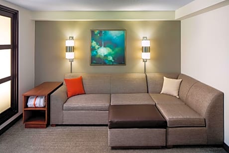 King Bed (with sofa bed)