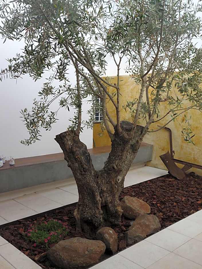 Born To Stay In Milfontes