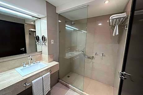 executive suite, 1 king, park view