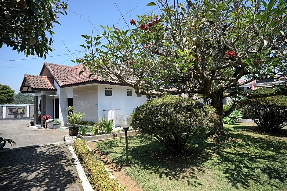 Hotel Citere II by ZUZU