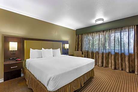 King Suite with Mobility Accessible Roll-In Shower - Non-Smoking