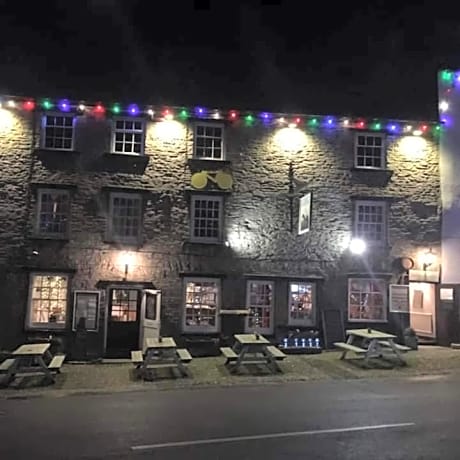 The Dante Arms