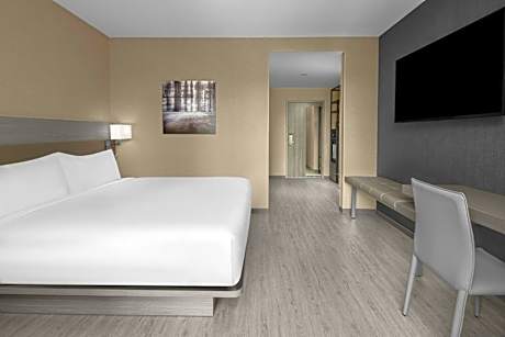 King Room with High Floor and Sofa Bed - Hearing Accessible