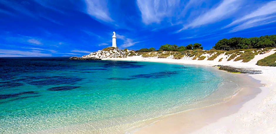 Urban Oasis Apartment