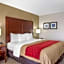 Comfort Inn Chester - Richmond South