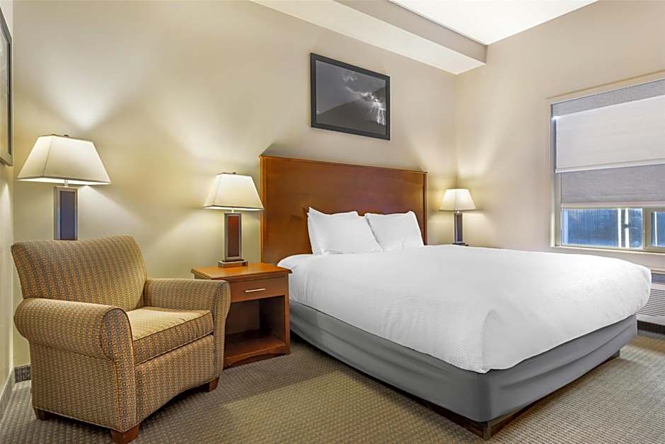 Photo 1 of 10 of 1 King Bed, Accessible, Roll in Shower